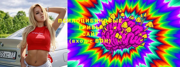 mdpv Козловка