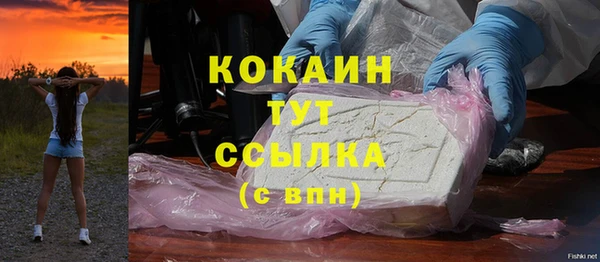 молекула духа Костерёво