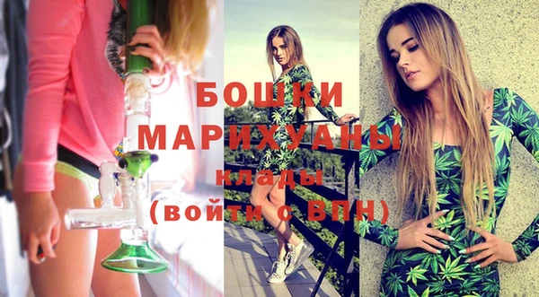 молекула духа Костерёво